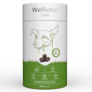 WEBIOTIC SABROSO 30 MASTICABLES